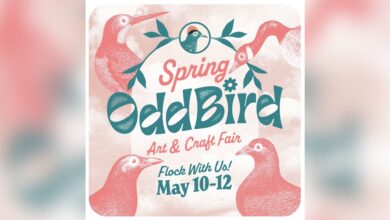 oddbird fair