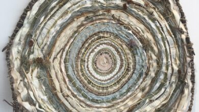 Lara Felsing's White Birch Tree Ring Timeline