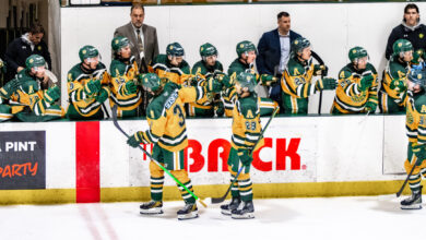 Golden Bears Hockey 2025-26