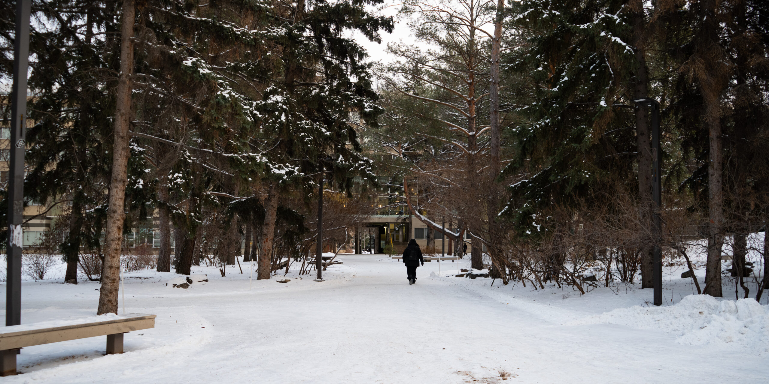 Challenges for international students extend beyond visa cuts