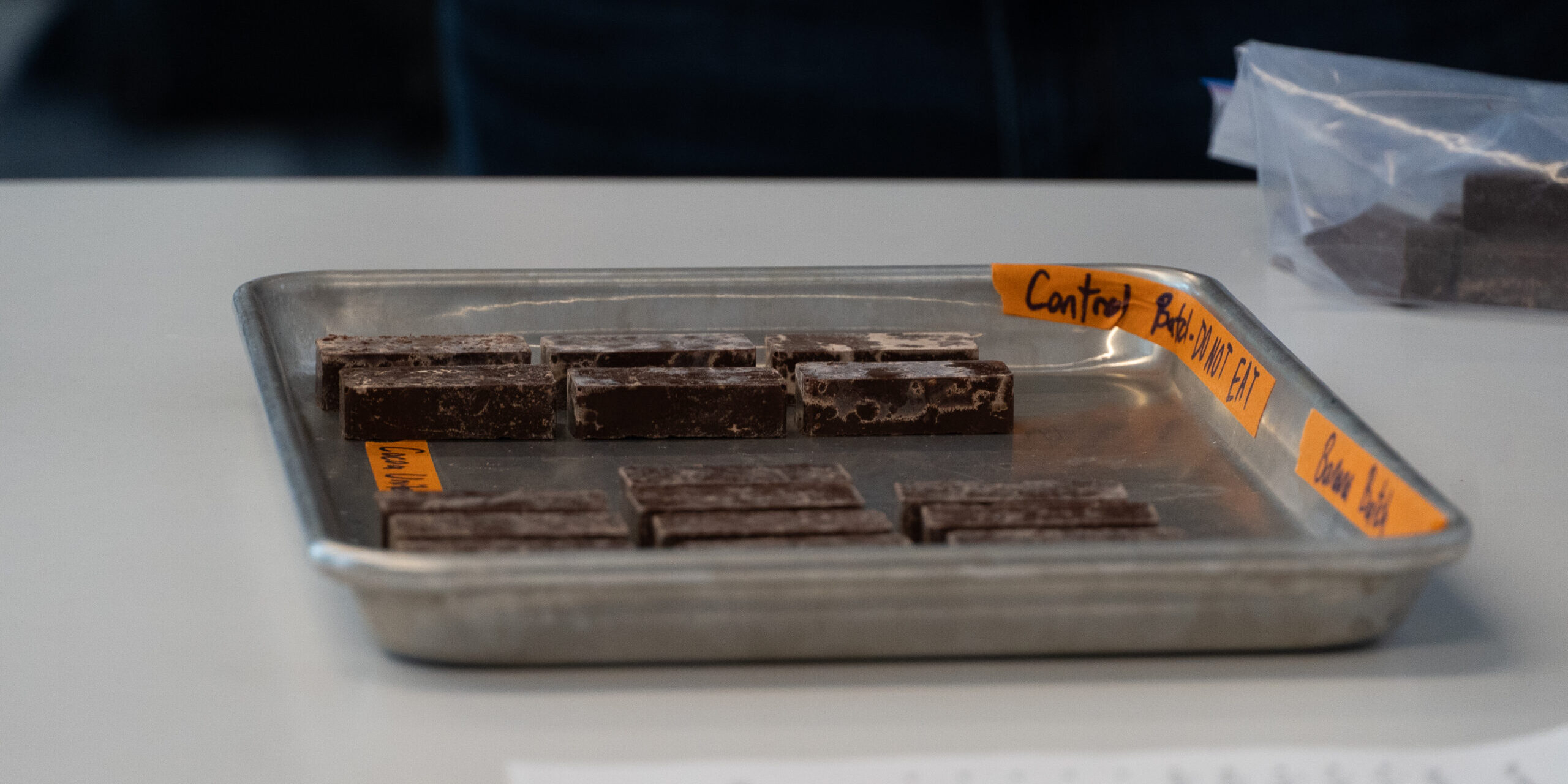 Students take on the engineering of chocolate - The Gateway